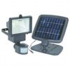 Solar Powered Security Light